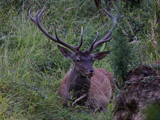 Pred vrcholom sezóny si treba poriadne odpočinúť.