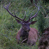 Pred vrcholom sezóny si treba poriadne odpočinúť.
