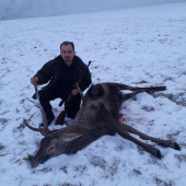 Ďalší ranný úspech