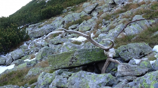 Odpočinutie večné...