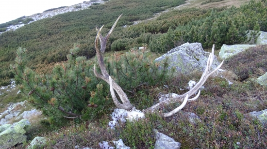 Nezvestný turista...