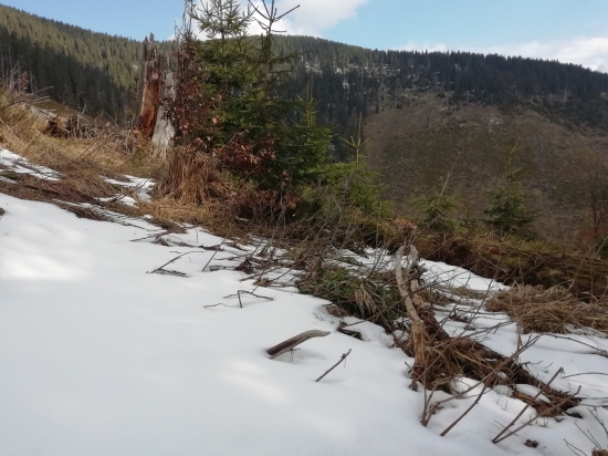 Podozrivý útvar...