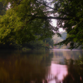 spomienka na leto...