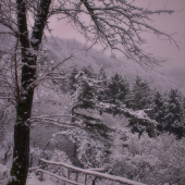 spomienka na zimu...