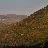 jesenný podvečer..