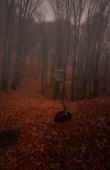 jesenný les...