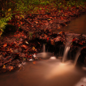 jeseň pri Besnom Potoku