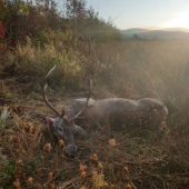 Ráno má svoje čaro :)