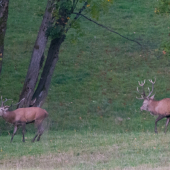 Pár vteřin před soubojem