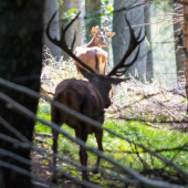 Špicérik v krakoch :) aneb Setkání generací