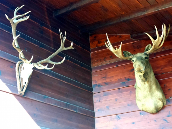 Dvadsaťtoráčik a Los