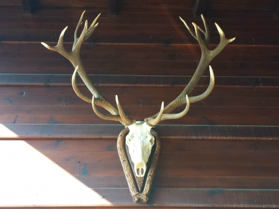 Krásavec samostatne ;)