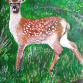 jelienča podľa fotografie Vaška Bystřického