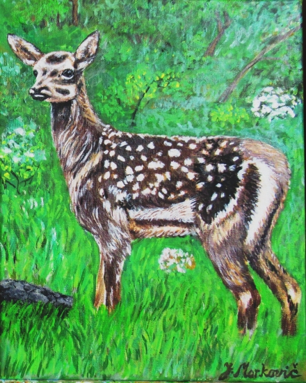 budúci kráľ lesov