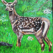 budúci kráľ lesov