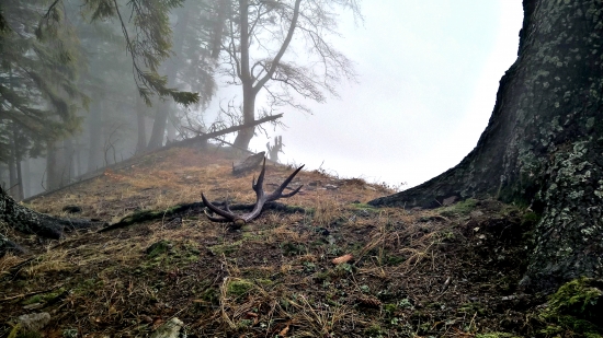 Sen alebo skutočnosť.