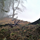 Sen alebo skutočnosť.