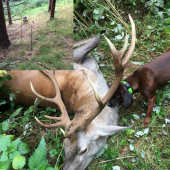 Jedna z úspešných