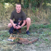 Z kukuřičného strniště