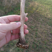 Pořadové číslo 500!!!