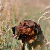 ...kto čaká v zboží?...:-)