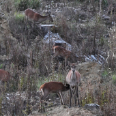 ...teplá večera vždy po ruke...:-)