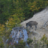 ...krochkáčik...:-)