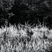 ...dobre mu to ručí...:-)