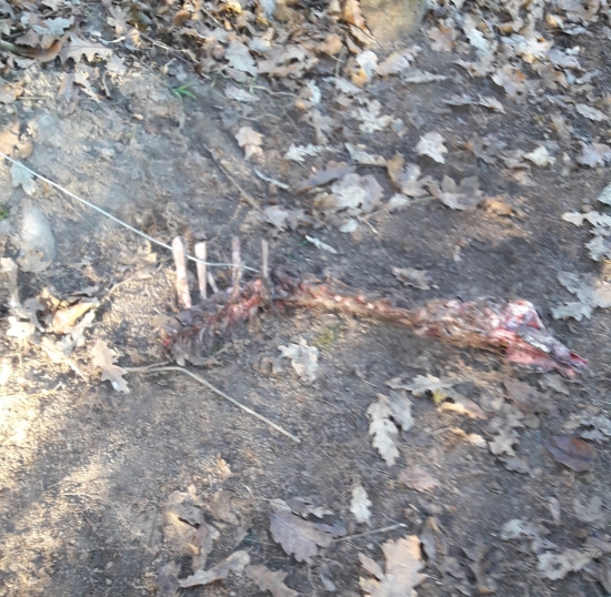 Aj takýto ľudia žijú medzi nami ...