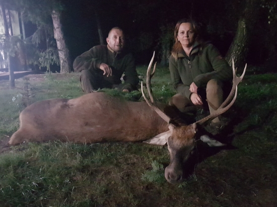 Luckin prvy jelen v Mocenskom haji