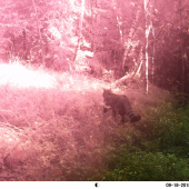 ked fotopascu necháte v silnej búrke