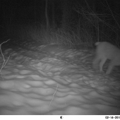 aach nepodarilo sa :(