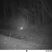 fotohádanka - - čo to je?