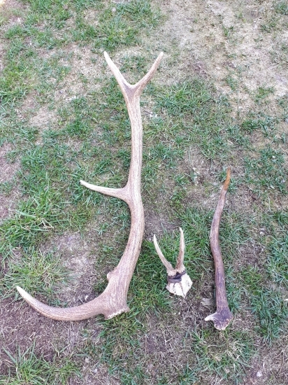 Vysledok 14 km prechadzky