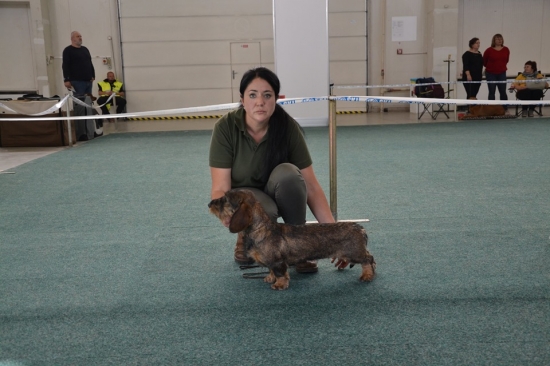 KAISA Červený hrun-  V1,CAJC,JBOB..