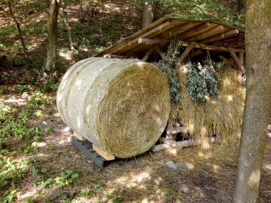 Pomalí ale isto sa nám zima blíži .