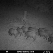 Keď nás poľovníkov príroda odmeňuje