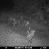 Bude z neho dačo... či ?