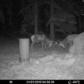 Pouličné bitky v horách