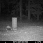 Hlad ho zobudil zo spánku