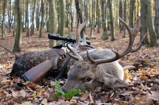 slovenský karibu ...