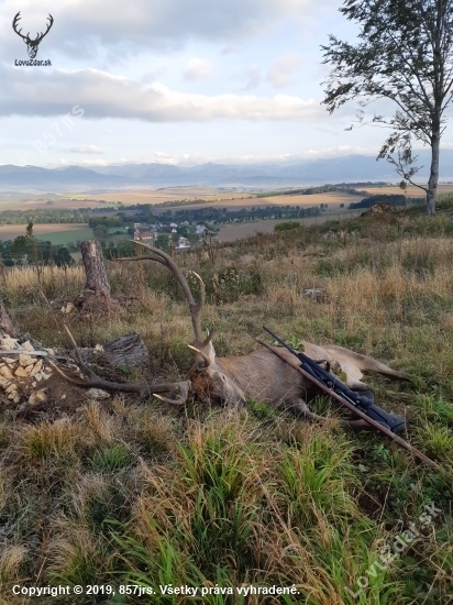 Mrazive rujove rano 2019