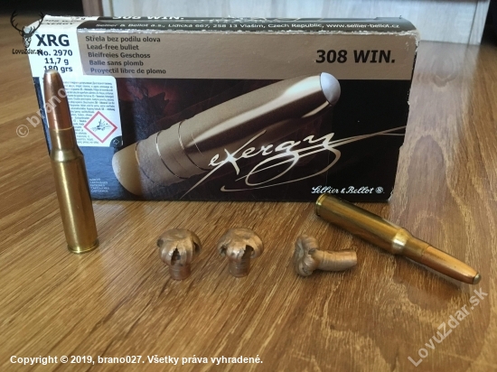 308 win Exergy 11,7 g