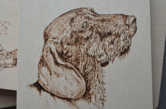 jazvečík portrét - vypaľované