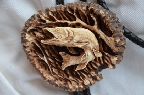 dravec vyštartoval z hlbiny