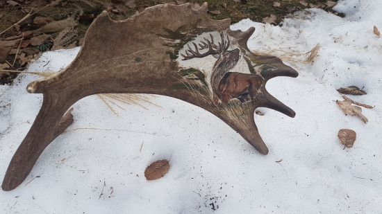 maľované na paroh - prvý pokus