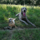 Ešte jedna z výcviku