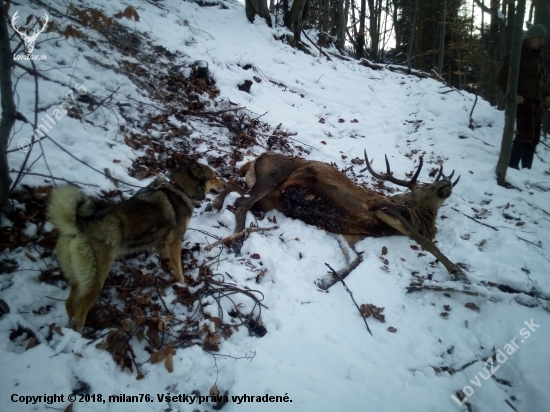 Uspešna dohladavka 19.12.2018