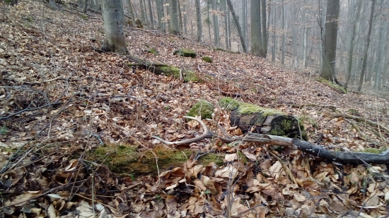 dnešný 10-toráčik