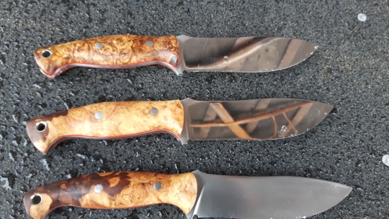 Elmax a stabilizovaný topol